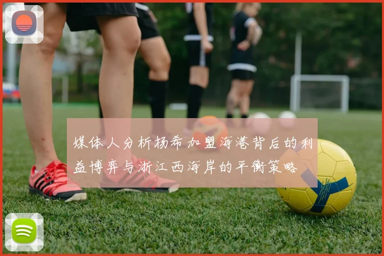 媒体人分析杨希加盟海港背后的利益博弈与浙江西海岸的平衡策略