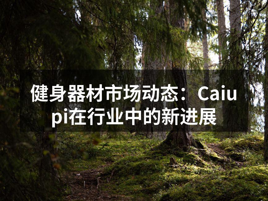 Caiupi新型智能健身器材