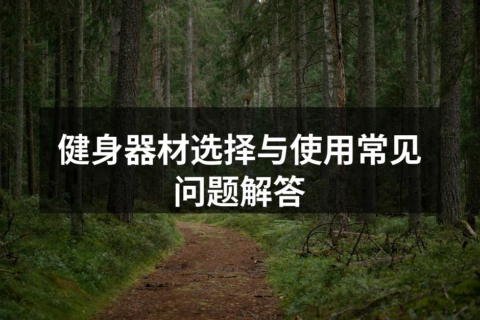 多种健身器材展示